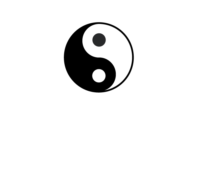 North Star Mentor White Logo